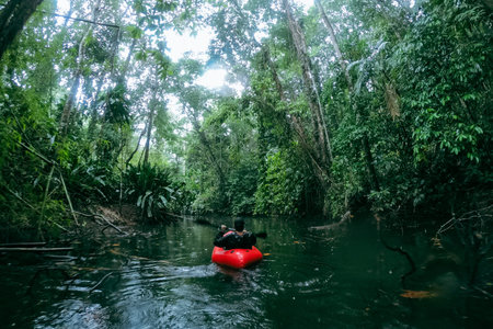 Paddling and canoeing through rainy waters of rainforest river in the heart of jungle in Costa Rica. Pov view from canoe..の写真素材