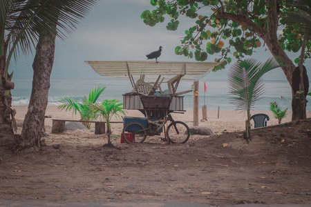 Surfboards, small shelter, bicycle and drying clothes. A surfers retreat, directly on the beach. Look through the greenery towards the beachの写真素材