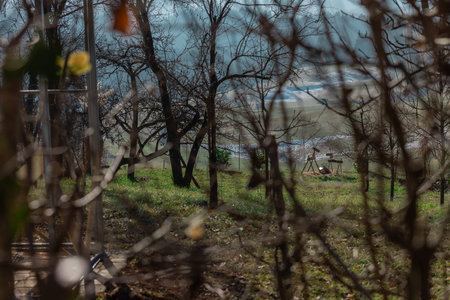 Two reindeer models made from sticks, twigs and logs on a countryside in early winter. Nice decoration or rural scene..の写真素材
