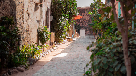 Alley full of leaves and foliage on the famous island of Goree, close to Dakar, known for being the last station of african slaves before being exported to other countries.の写真素材