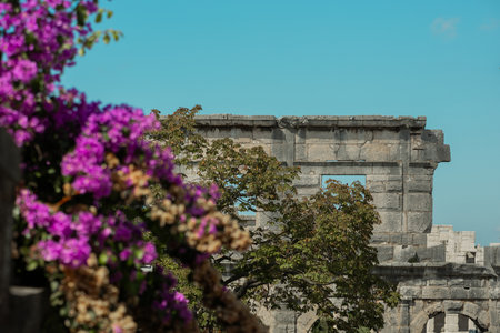 Side detail of a wall of amphiteatre in Pula, Croatia. Visible tall wall of outer part of colloseum, hiding behind flowers and foliageの写真素材