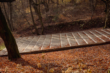 Wide stairs made of stone and concrete in the middle of a park, climbing up into forest. Part of an outdoor theatre in tivoli park, Ljubljana, Sloveniaの写真素材