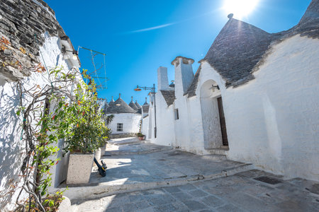 Beautiful stone of Trulli houses with white walls, narrow streets, decorated with flowers, palm trees and other decorations. Spring day, warm with sun and blue skies Selling souvenirsの写真素材