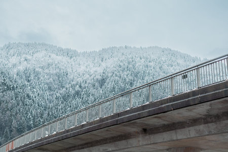 Concrete Bridge with metal railing is visible crossing the river and snow capped hills with forest...