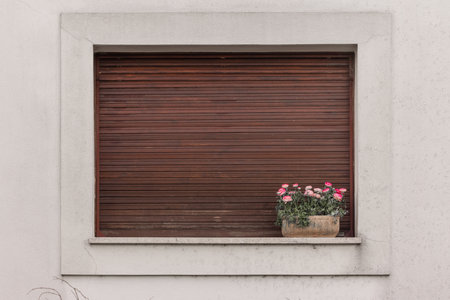 Pot with flowers on pane of a closed window with wooden blinds. Concept of something still living in abandoned placeの写真素材