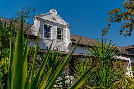 Beautiful colonial facade in white color on Dorp street, famous alley in Stellenbosch on a sunny summer day. Visible greenery and foliage with blue skiesの写真素材