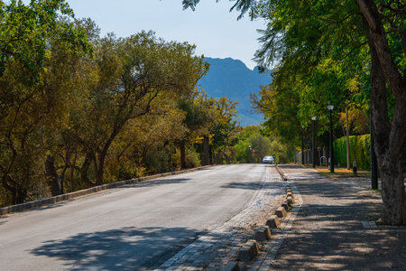Suidwal street in stellenbosch, south africa with cars and surrounded by typical trees here. Sunny summer day, hot asphalt.の写真素材