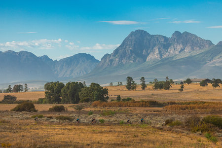 Epic south african panorama of big brown fields in the plains and epic mountains in the background close to Paarl city in western cape. Cyclist seen in the frontの写真素材
