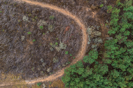 Aerial upside down view of a dirt track curve for walking, biking, hiking or motorcycling. Strong divide between lush green trees and brown grassの写真素材