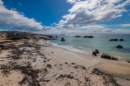 Fascinating boulders at bay with penguins close to Simons bay in south africa. Sanctuary or colony of penguins next to the giant stone boulders. Sunny warm day..の写真素材