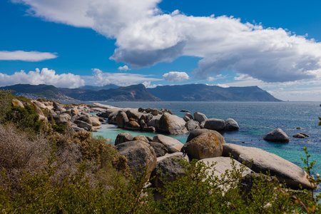 Overview of bay with penguins close to Simons bay in south africa. Sanctuary or colony of penguins next to the giant stone boulders. Sunny warm dayの写真素材