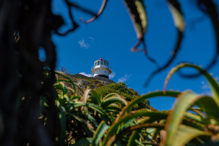 Frontal view of an epic lighthouse at cape point or cape of good hope. View on a hot summer day, no people, blue skies. Lighthouse in africa, view through foliageの写真素材