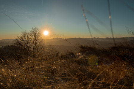 serene landscape at sunrise or sunset with the sun low on the horizon, casting a warm glow over rolling hills. Bare trees and tall grasses fill the foreground, while distant mountains fade into a soft blue sky.の写真素材