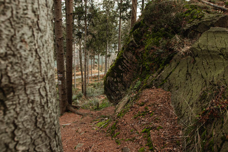 A mossy rock and tree-lined trail in the Beskidy mountains near Wis a, close to the famous Skrzyczne rock formation. Ideal for hikers, the scene features earthy tones, dense forest, and a marked path, perfect for nature and adventure stock imageryの写真素材