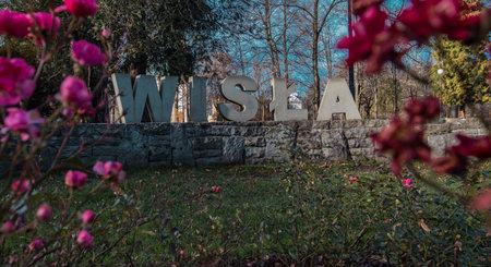 A vibrant sign spelling "WIS A" on a stone wall in Wis as center, framed by pink flowers and lush greenery. Tall trees and a clear blue sky enhance this welcoming town landmark, ideal for travel and nature imagery.の写真素材
