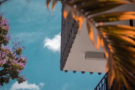 corner of a building with a tiled roof and white wall, framed by a palm leaf in the foreground. A tree with purple blossoms and a bright blue sky with clouds are visible, suggesting a tropical setting.の写真素材