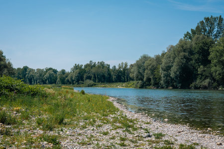 serene view of the Drava River near Ptuj, with calm blue water flowing between rocky, grassy banks. Dense green trees line the horizon under a clear blue sky, creating a peaceful natural landscape.の写真素材
