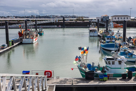 a vibrant harbor scene in Royan, with colorful fishing boats docked in calm water under a partially cloudy sky. Buildings and infrastructure line the distant shore.の写真素材