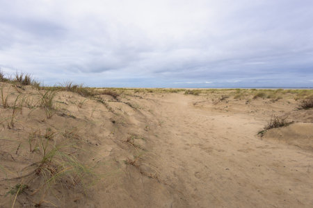 sandy coastal dunes in Le Verdon-sur-Mer, covered sparsely with beach grass under a wide, cloudy, and overcast sky. It evokes a feeling of quiet solitude.の写真素材