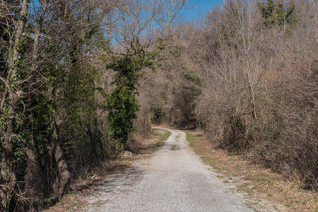 A panoramic view of a gravel cycle path along a rocky hillside with a rusty guardrail and a dark railway tunnel entrance among sparse, wooded trees.の写真素材