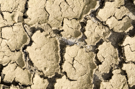 Close up texture of dry and cracked earth 