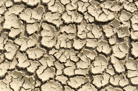 Close up texture of dry and cracked earth 