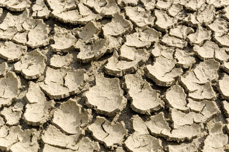 Close up texture of dry and cracked earth の写真素材