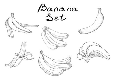 Banner set of sketches for design and postcardsのイラスト素材