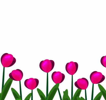pink tulips background vector illustrationのイラスト素材
