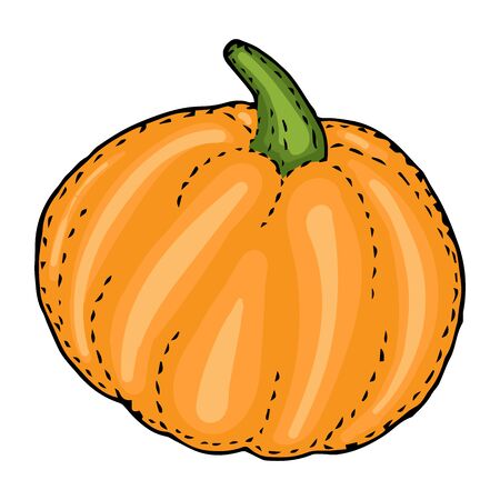 doodle orange pumpkin isolated vector illustration for design and decorationのイラスト素材