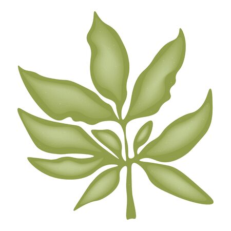 Big green leaf isolated on a white background, with 3D effect, stock vector illustration. For design and decoration, logo, sticker, bannerのイラスト素材