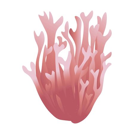 Pink coral isolated on white background, with 3D effect, stock vector illustration, for design and decoration, banner,  business card, sticker, marine theme.のイラスト素材