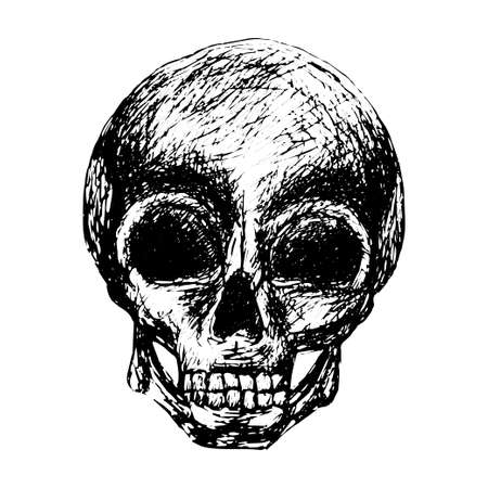 Sketch human skull in vintage style black outline isolated on white background. Stock vector illustration for design and decoration. Sticker, banner, poster, halloween, spookyのイラスト素材