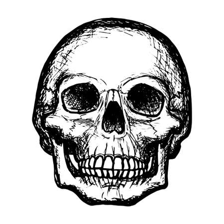 Sketch of a human skull, black outline on a white background, stock vector illustration, for design and decoration, gothic, halloween, poster, bannerのイラスト素材