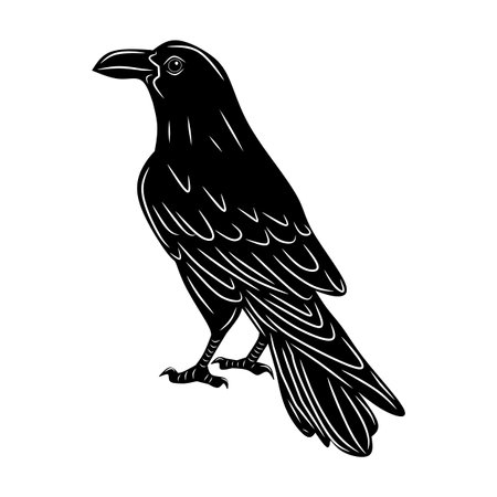 Raven black, cartoon isolated on white background, vector illustration for design and decor, Halloween, sticker, templateのイラスト素材