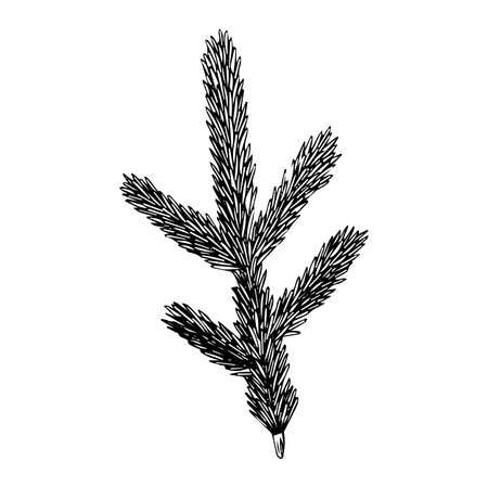 Christmas tree branch, sketch, black outline isolated on white background, stock illustration for design and decorのイラスト素材