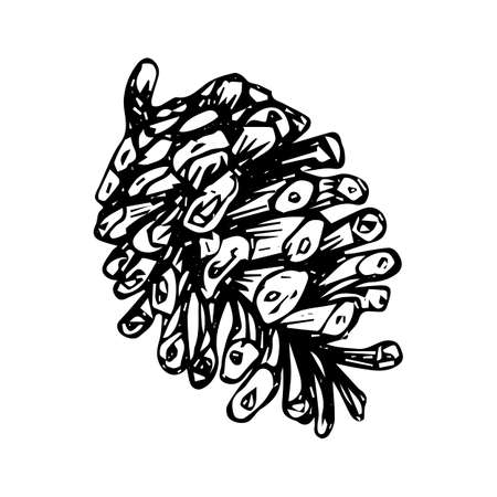 Christmas tree cone, sketch, black outline isolated on white background, stock illustration for design and decorのイラスト素材