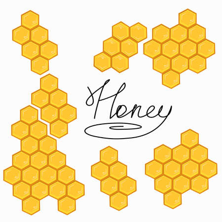 Honey inscription isolated on white background surrounded by honeycombs. Honeycombs can be joined in any direction. Honeycombs in a cartoon style. Hand drow lettering pen .の写真素材
