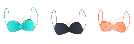 Bra set isolated on white background. Womens underwear. illustration of underwear in cartoon style, can used for logosの写真素材