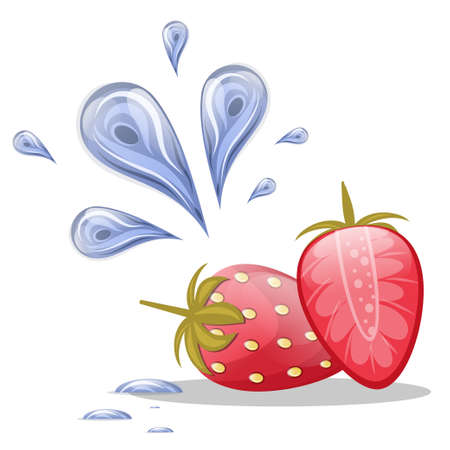 Fresh strawberries with water drops isolated on a white background. Fresh berries for food illustrations. Vector illustration.のイラスト素材