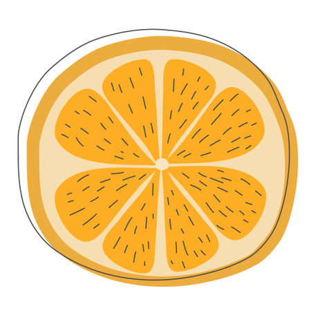 Yellow fruit citrus orange cut. Vegetarian organic natural food. Fashionable modern flat colorful collection. Vector illustration in a flat linear style.のイラスト素材