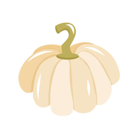 White pattison pumpkin Halloween is isolated on a white background. Vector illustration in cartoon style. Pumpkin, pattison for decorating invitations for the Halloween holiday.のイラスト素材