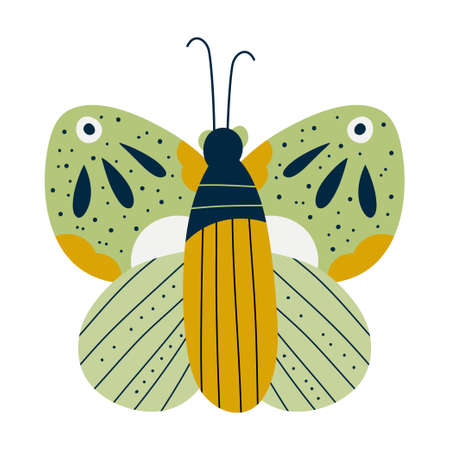 Scandinavian butterfly isolated. Insect with green wings and dots. Flat vector illustration. Butterfly for kids design. Vector hand drawn trendy cartoon illustrationのイラスト素材