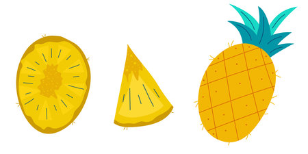 Whole pineapple and pieces in a set isolated on white background.Sweet summer fruit with green...