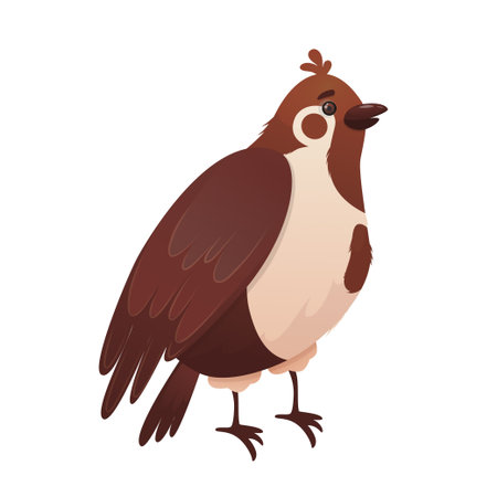 Cartoon sparrow isolated on white background. Small brown bird with a beak and wings. Vector illustrationのイラスト素材