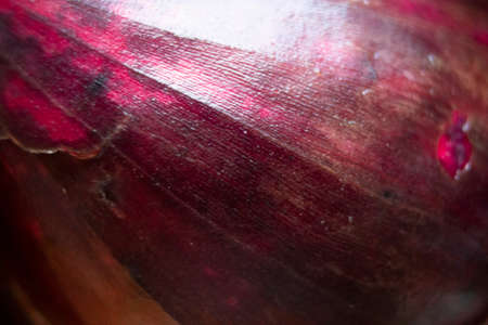 homemade onion seedlings in a bowl of waterの写真素材