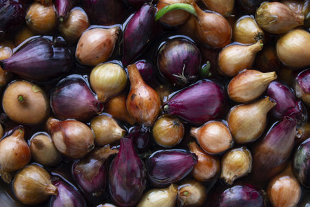 Yellow and purple onions, seedlings, Background of growing onions. There are many growing onion plantations. Rural herbs and vegetables. Sale at the farmer's market. pattern textureの写真素材