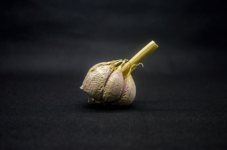 a garlic isolated on black backgroundの写真素材