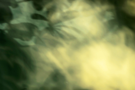 Leaf shadow in retro style on wall background.の写真素材