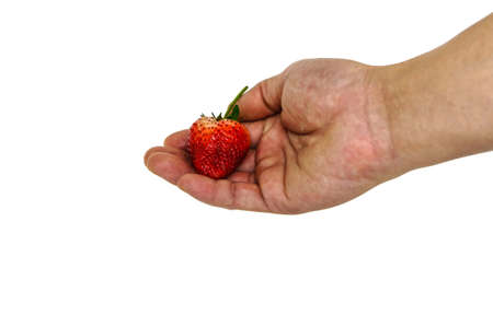 Fresh strawberry in hand on a white background.の写真素材